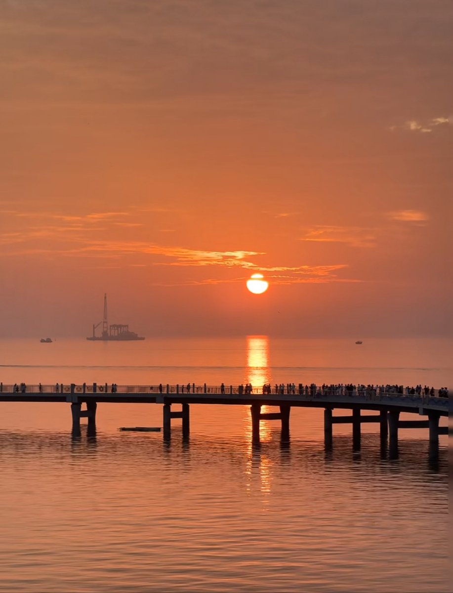 chrissi foran tweet media