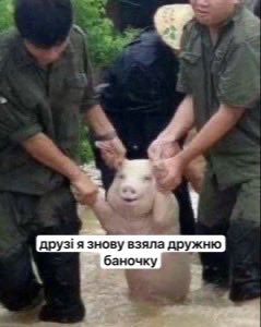 тетяна і двіж tweet media