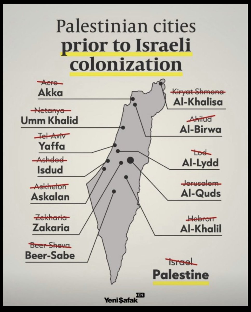 Petre Solheim tweet media