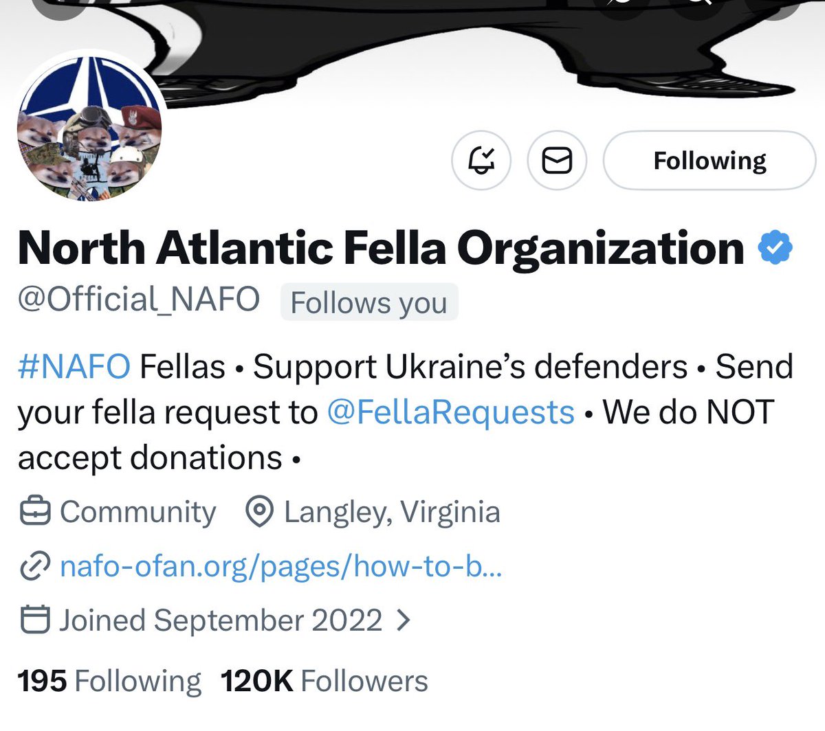 Wende🎗️🐝 🏴‍☠️ tweet media