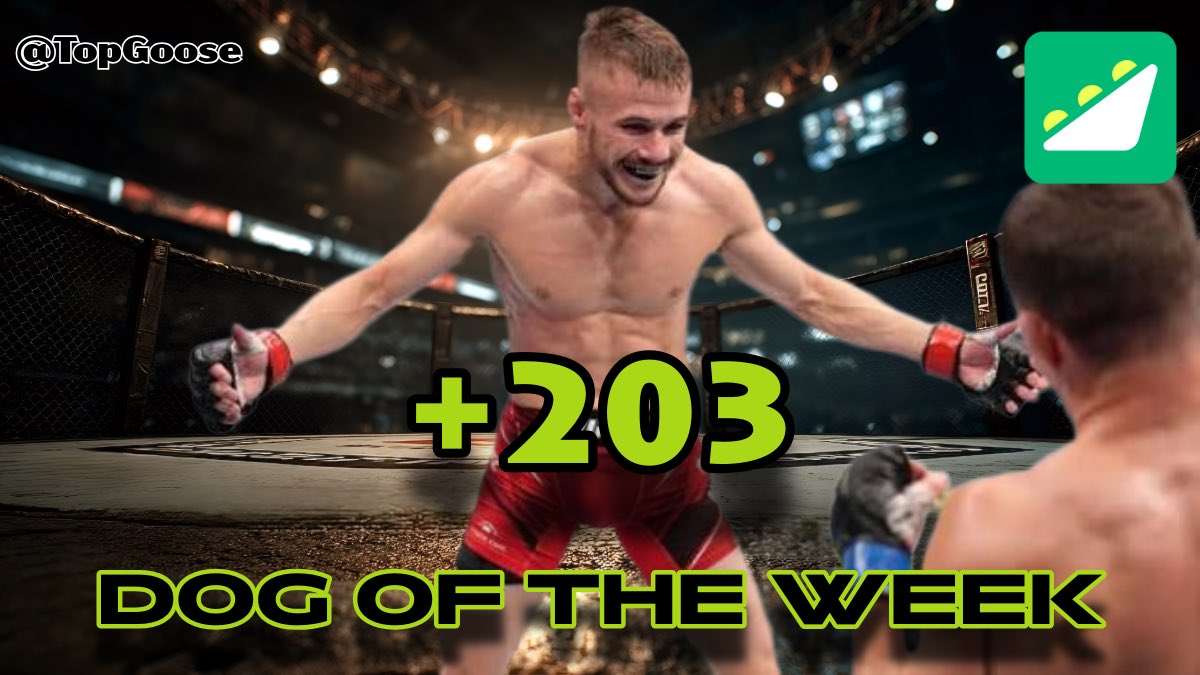 ɢᴏᴏꜱᴇ🪿 tweet media