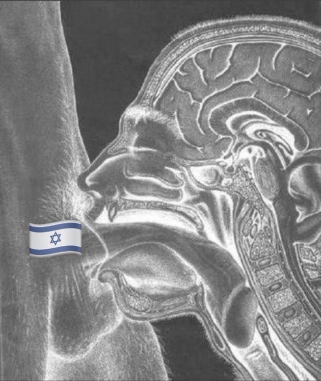 noticing tweet media