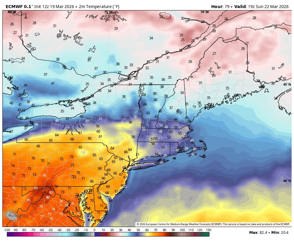 Boston Weather Consulting (by Owen) tweet media