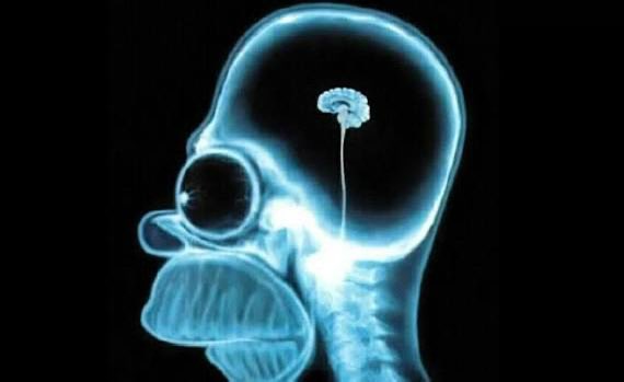 M.Ali tura tweet media