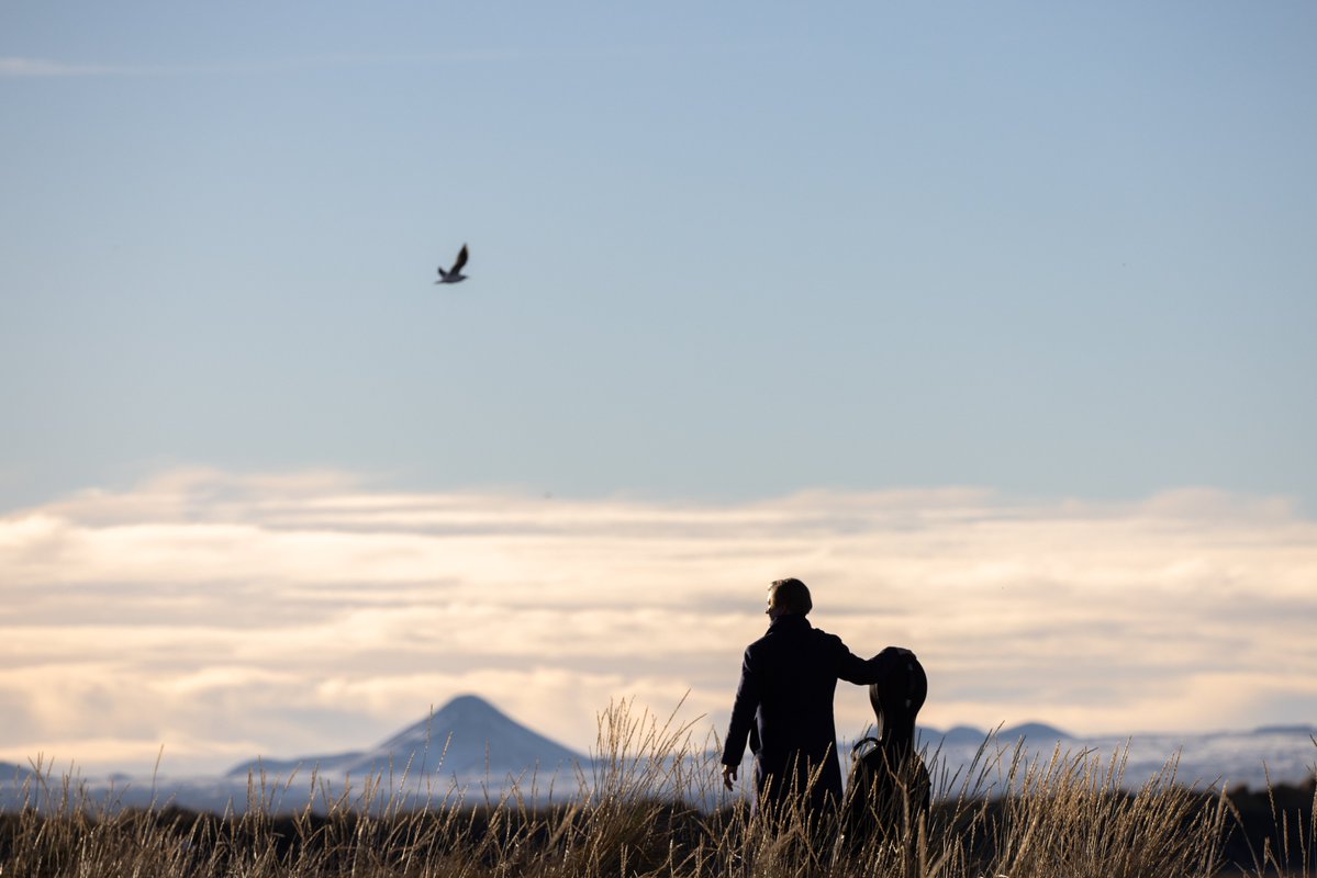 SOLID GOLD RADIO IRELAND tweet media