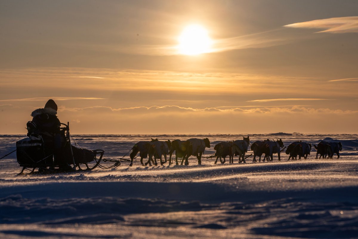 ADN Iditarod tweet media