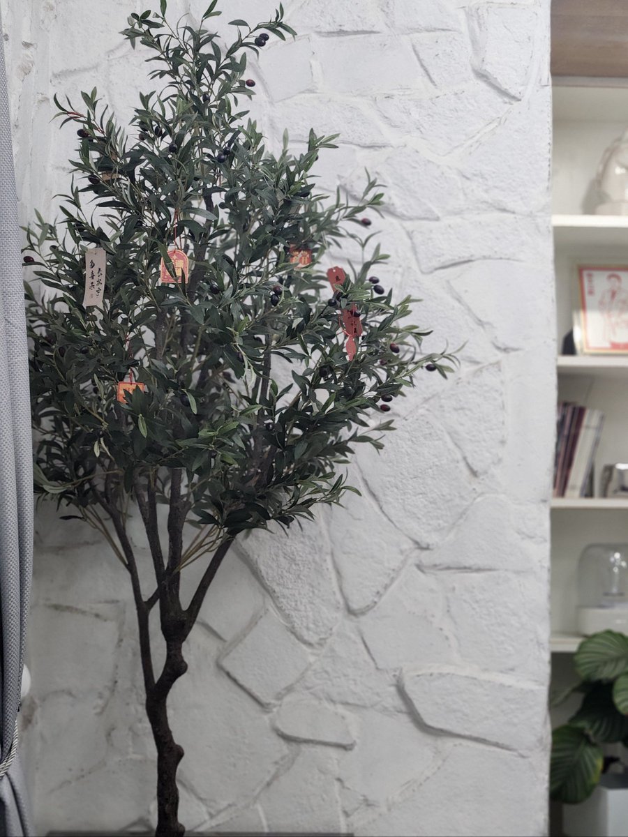 Stephen Shakespeare tweet media