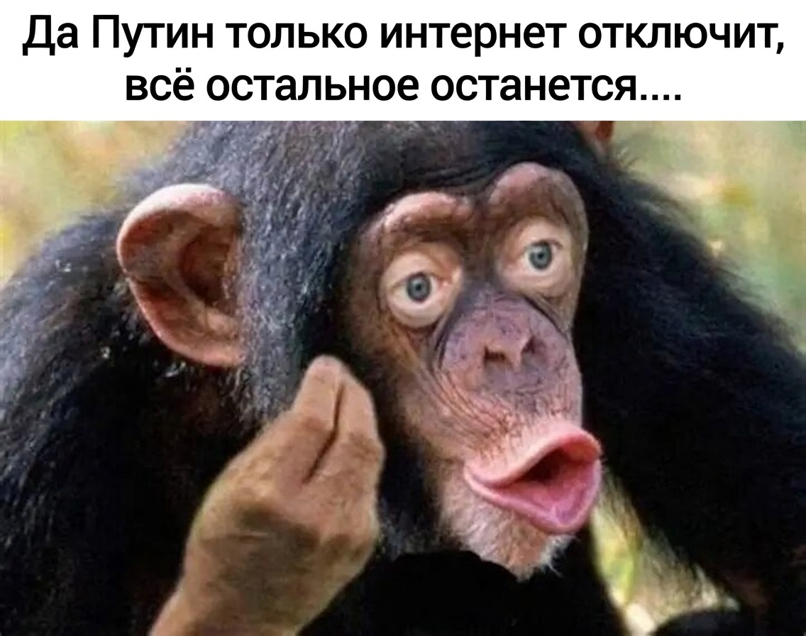 Дюймвовочка tweet media