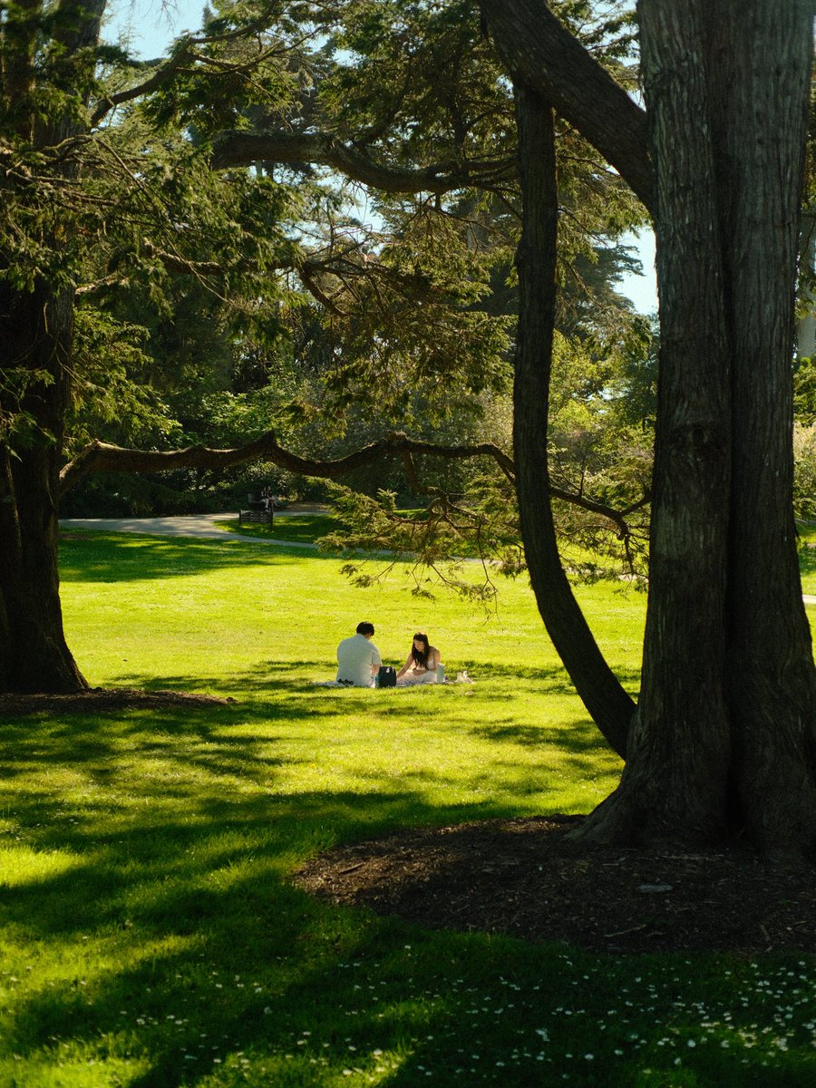 Marijana Pavlinić tweet media