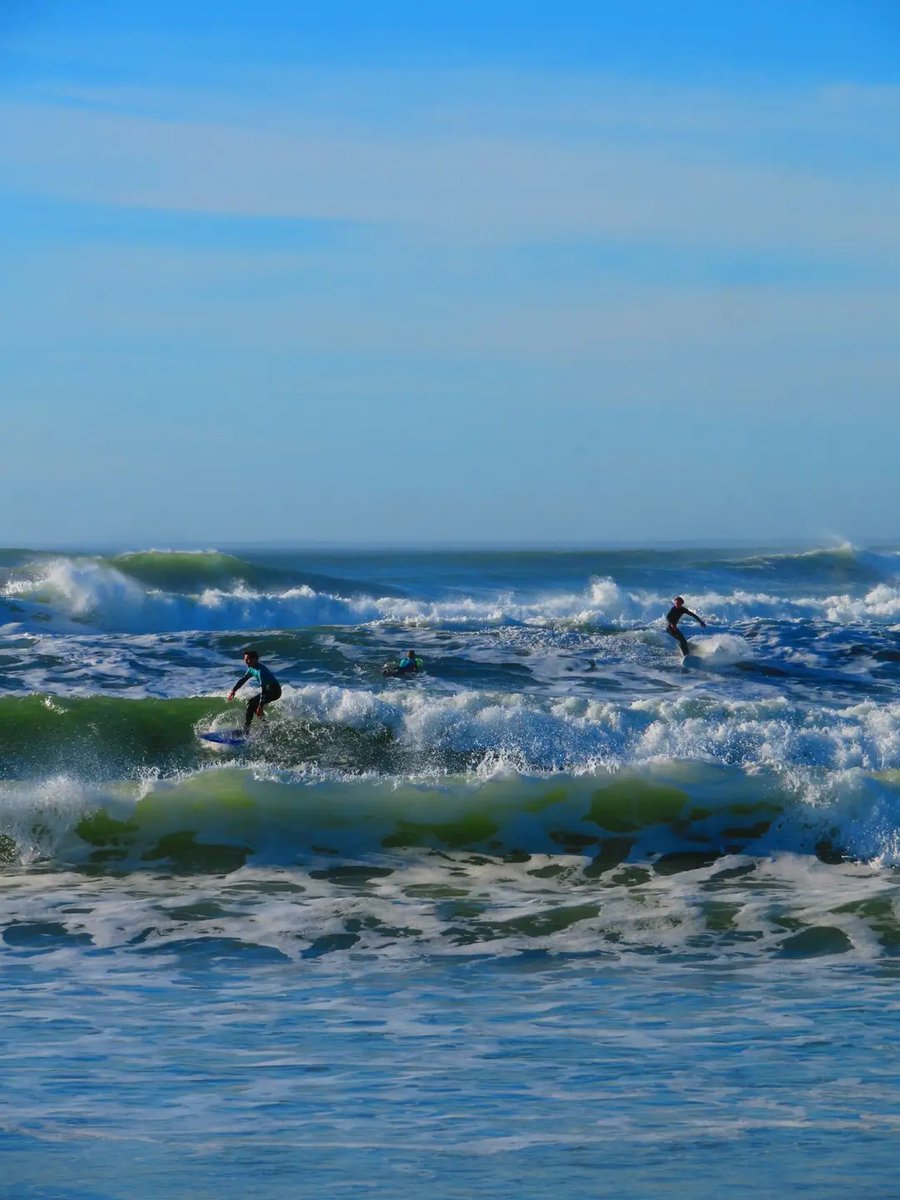 alexandra red tweet media