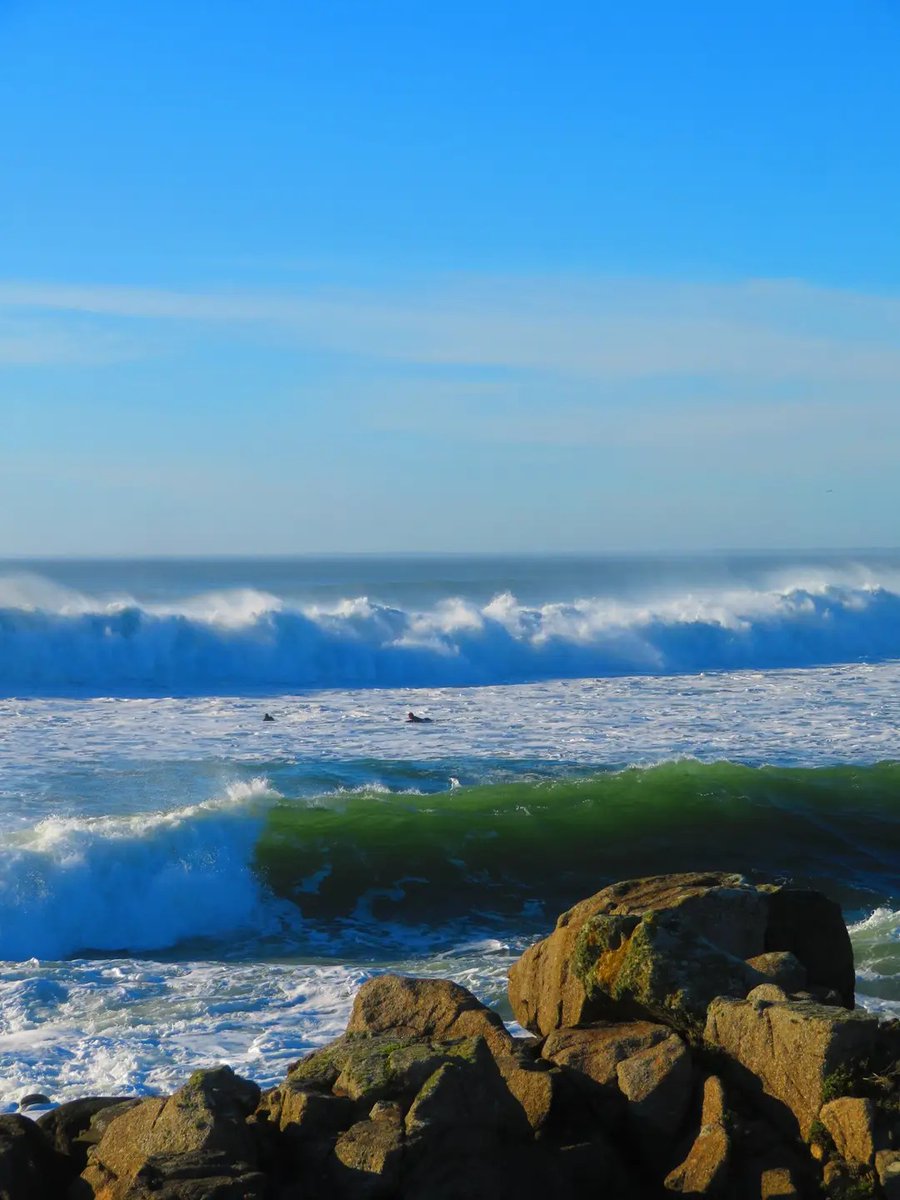 alexandra red tweet media