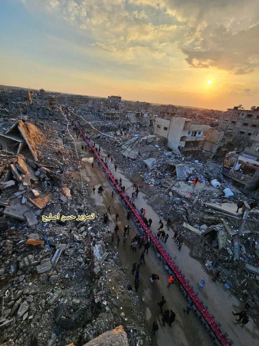 DAILY ARK Affairs tweet media