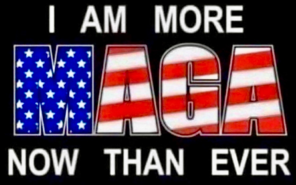 Donna OMeara tweet media