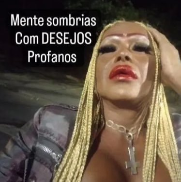 Capivara com asas tweet media