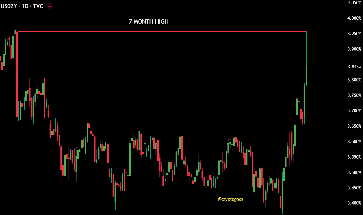 CryptoGoos tweet media