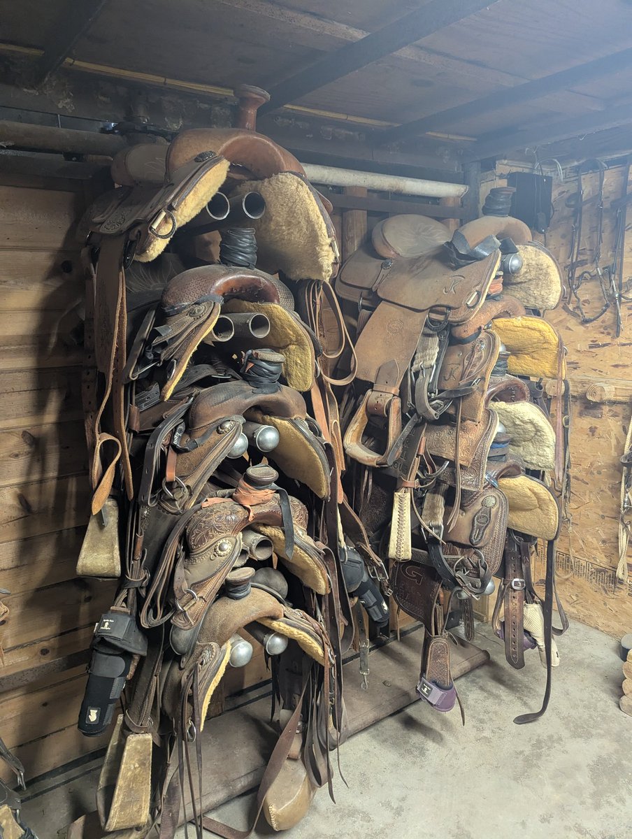 Re₿el in Texas tweet media