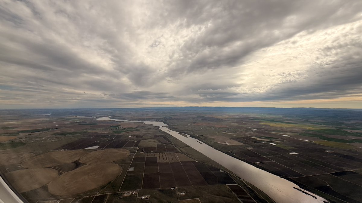 britton winterrose 🛫Hill and Valley tweet media