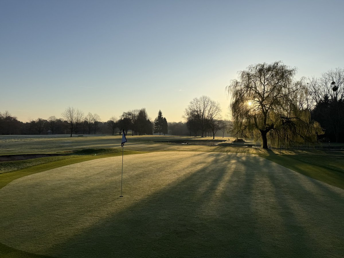 Chris Low tweet media