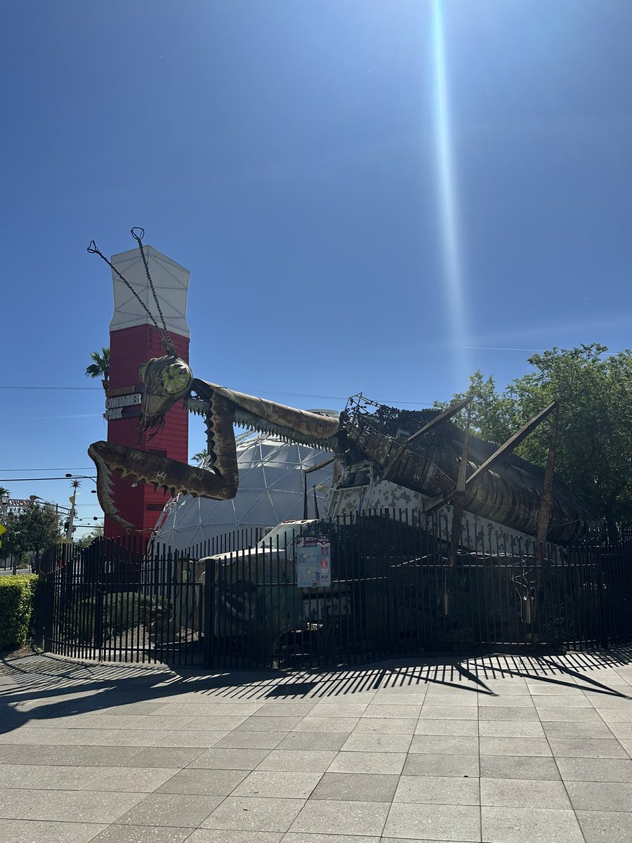 Living Life tweet media