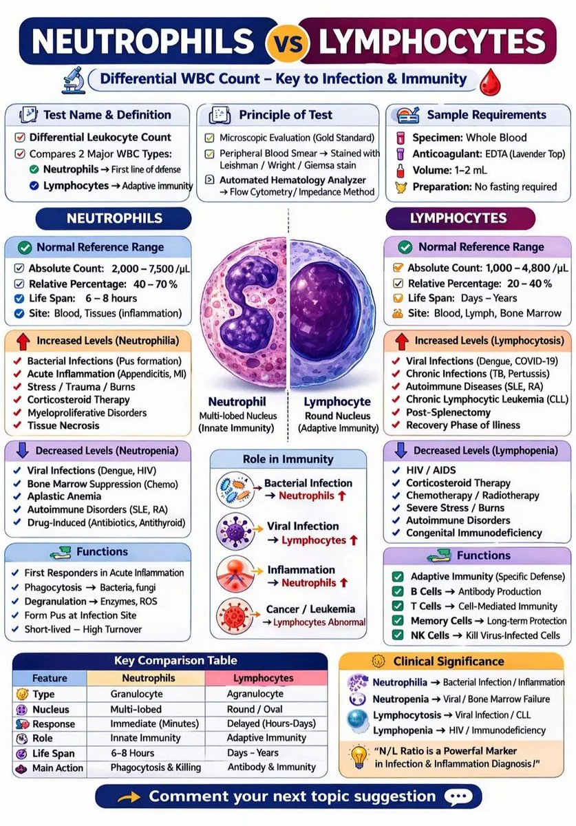 سامي tweet media
