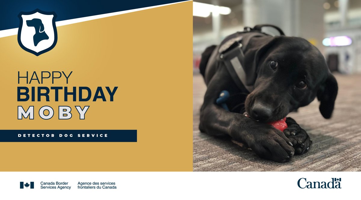 Border Services GTA tweet media