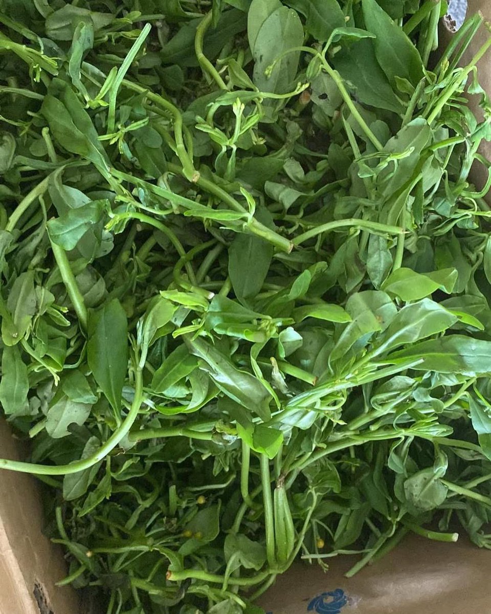 🇨🇦 Ademola🇨🇭 tweet media