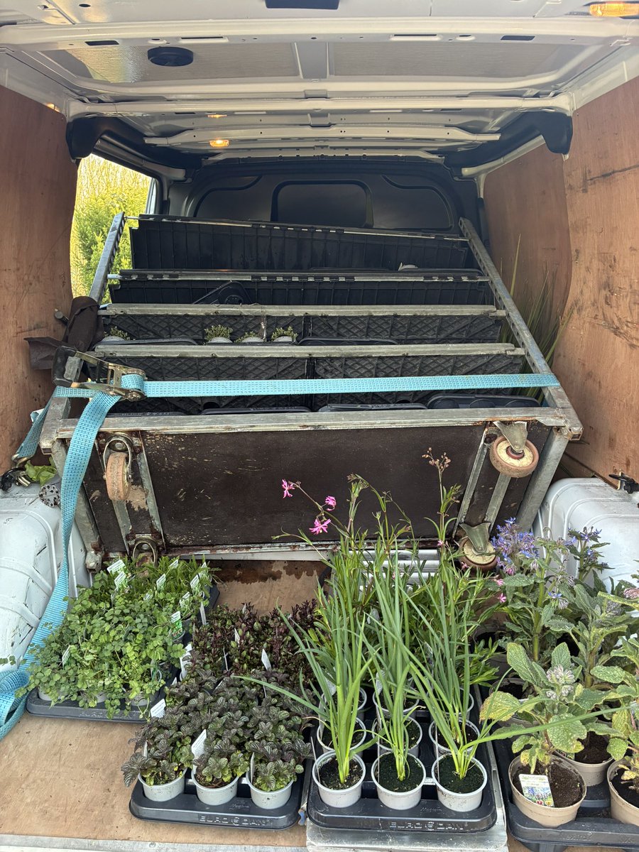 kitchenGarden tweet media