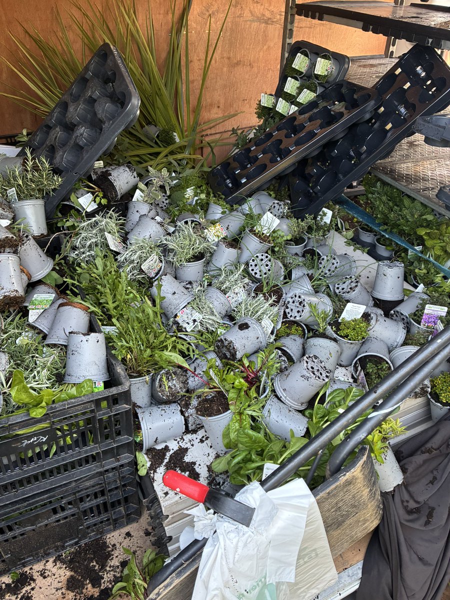 kitchenGarden tweet media