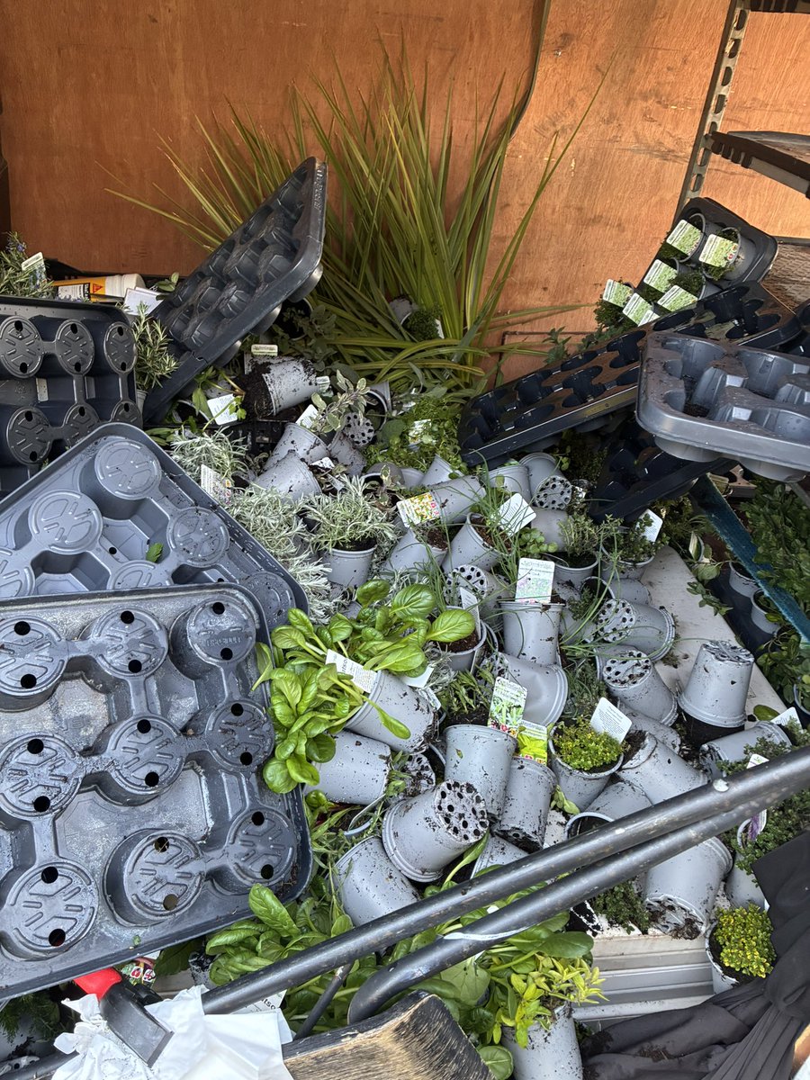 kitchenGarden tweet media