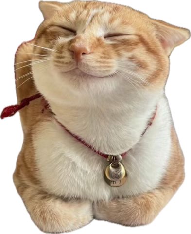 Infinity✨is a Bodega Baddie tweet media