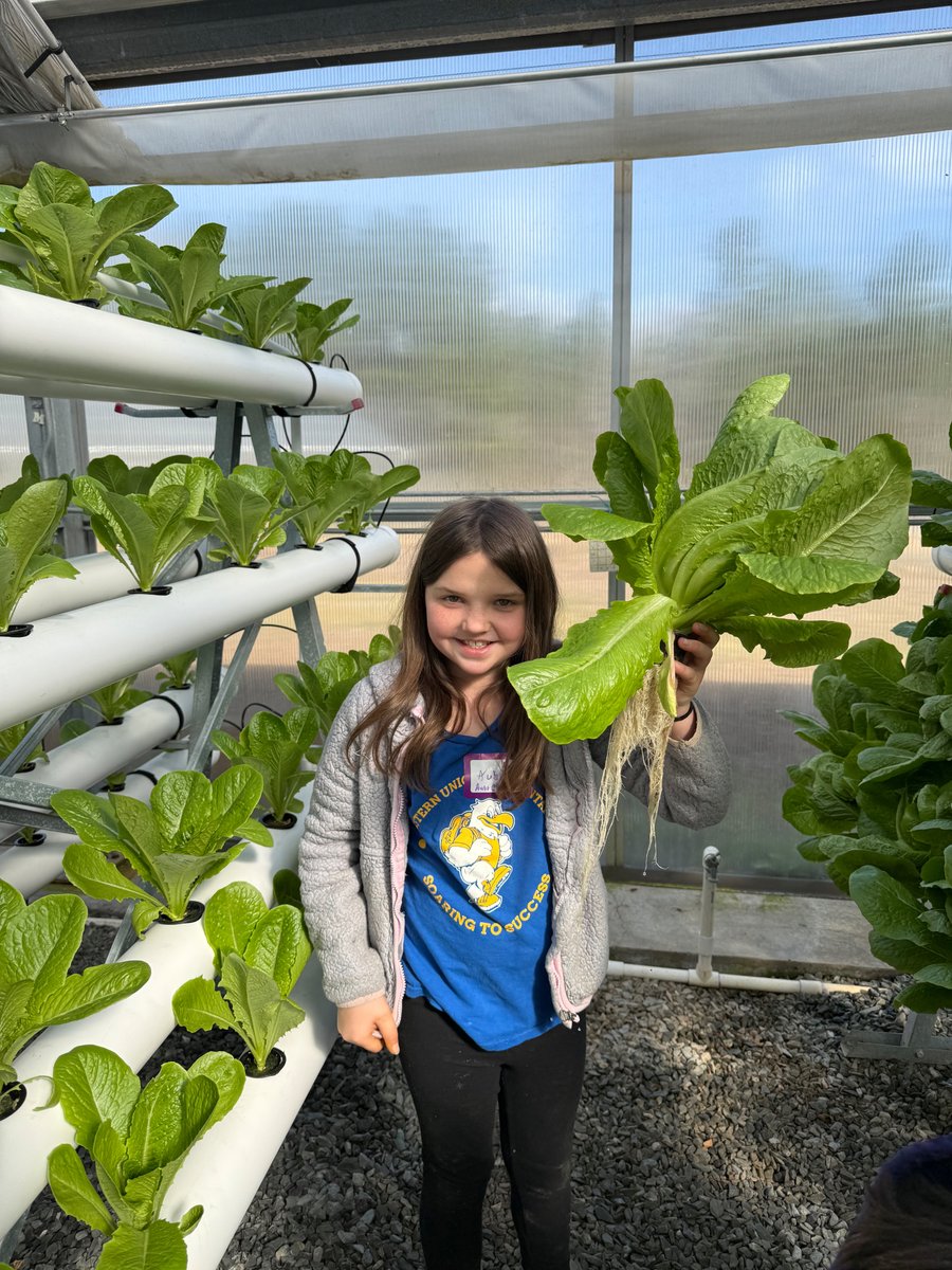 Western Union Elementary School tweet media