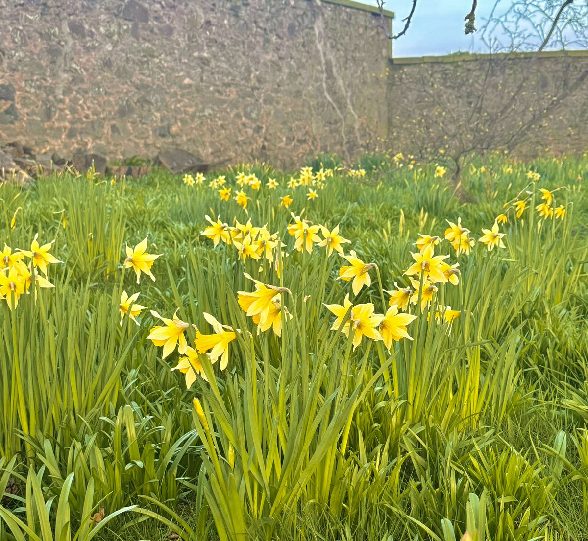 James Melville 🚜 tweet media