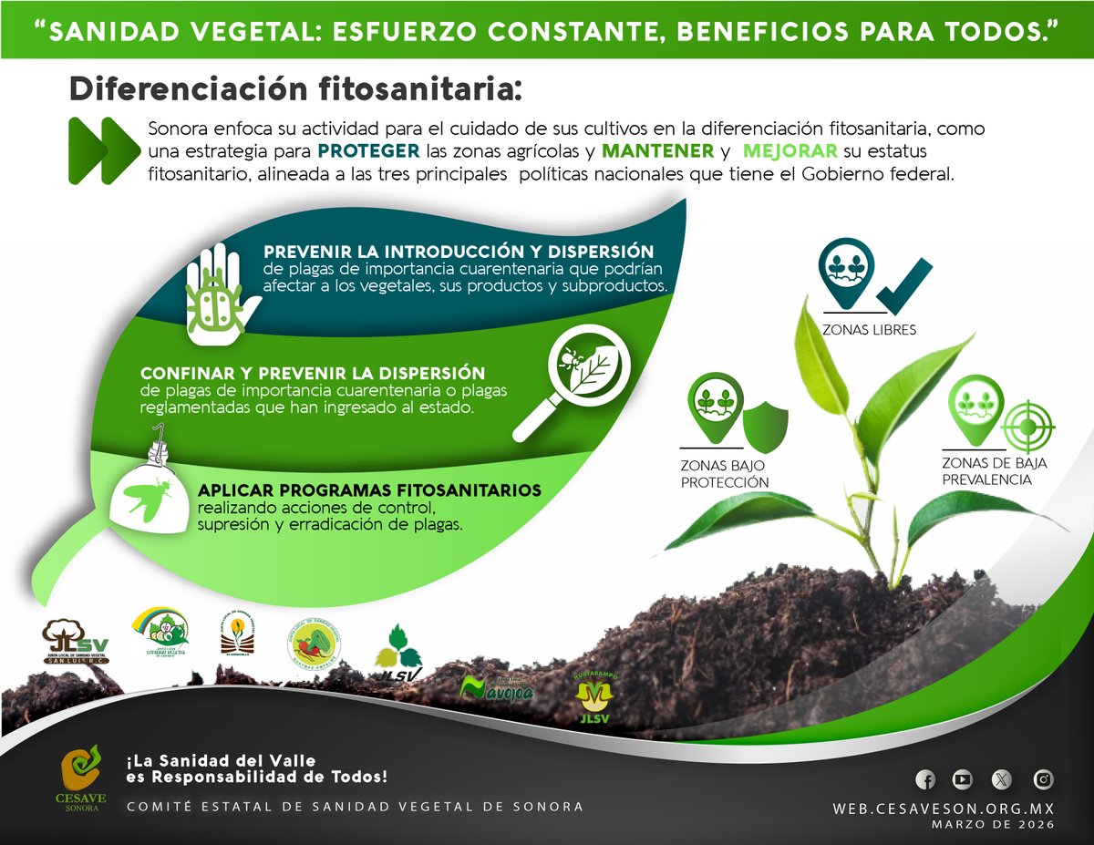 CESAVE Sonora tweet media