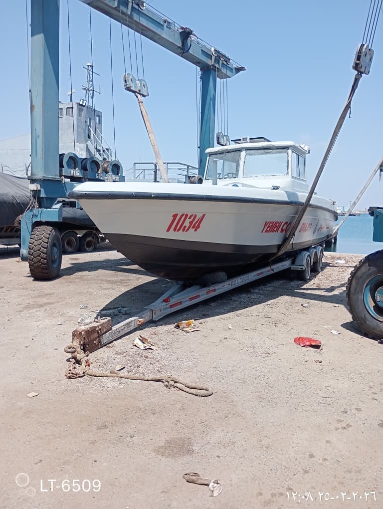 Basha باشا tweet media