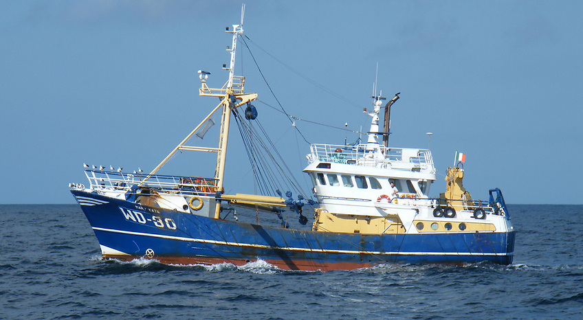 AfloatMagazine tweet media