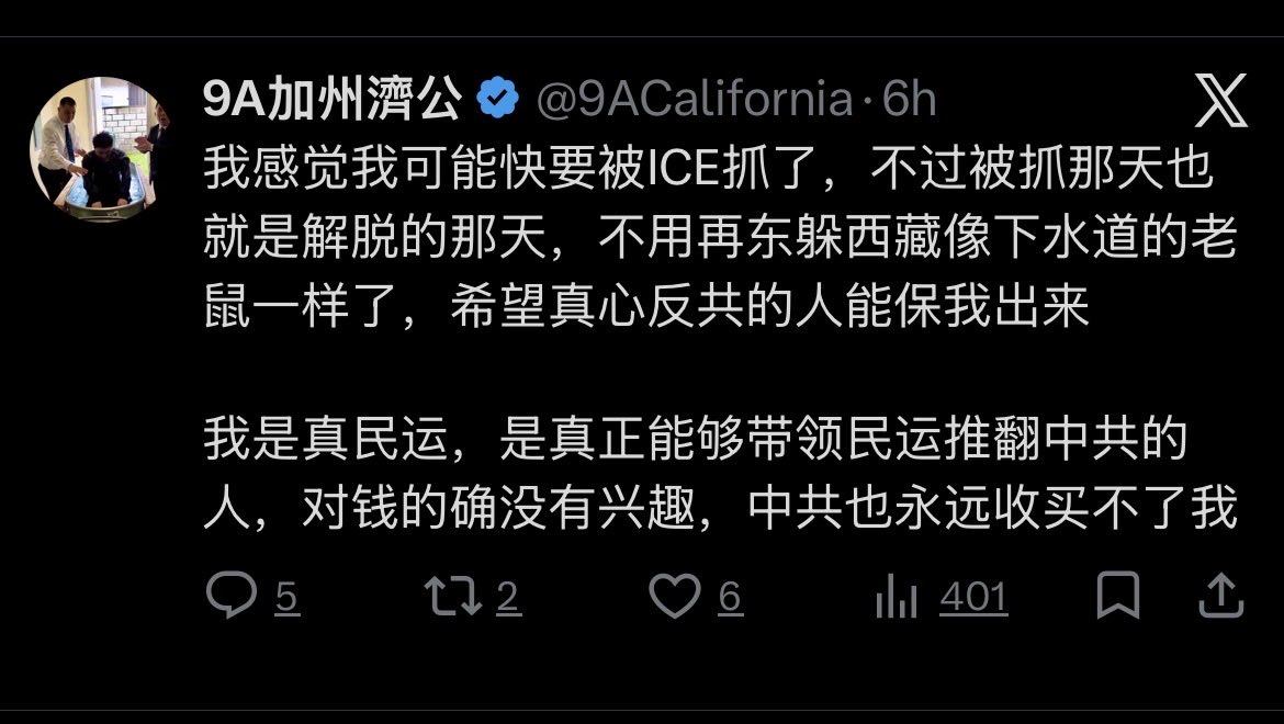 Viola.HelloWorld tweet media