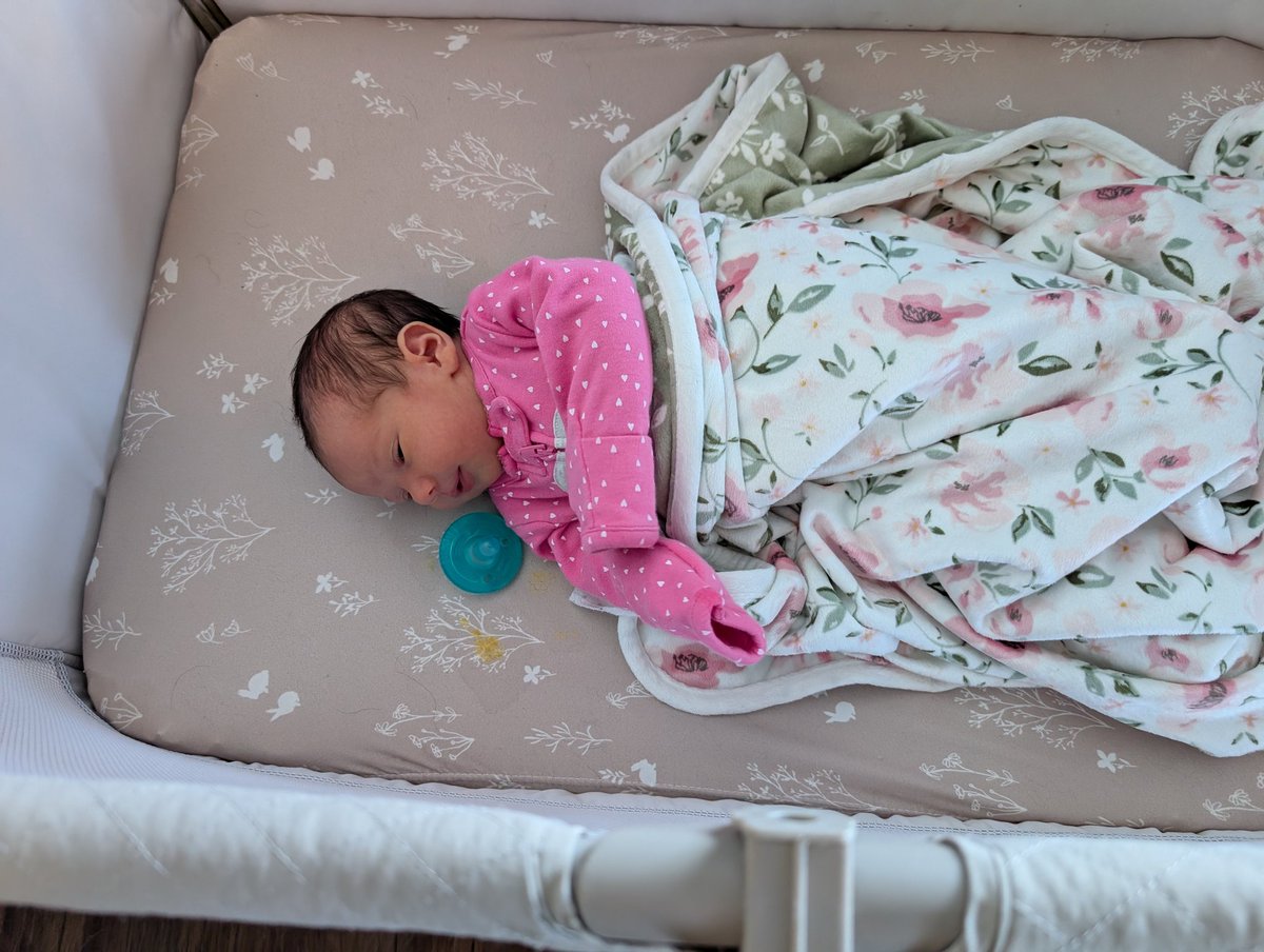 Brandon JamesX2🇺🇸 tweet media