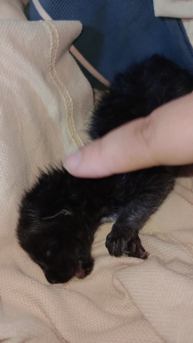 🔞NinArts🔞(Working on comms) tweet media