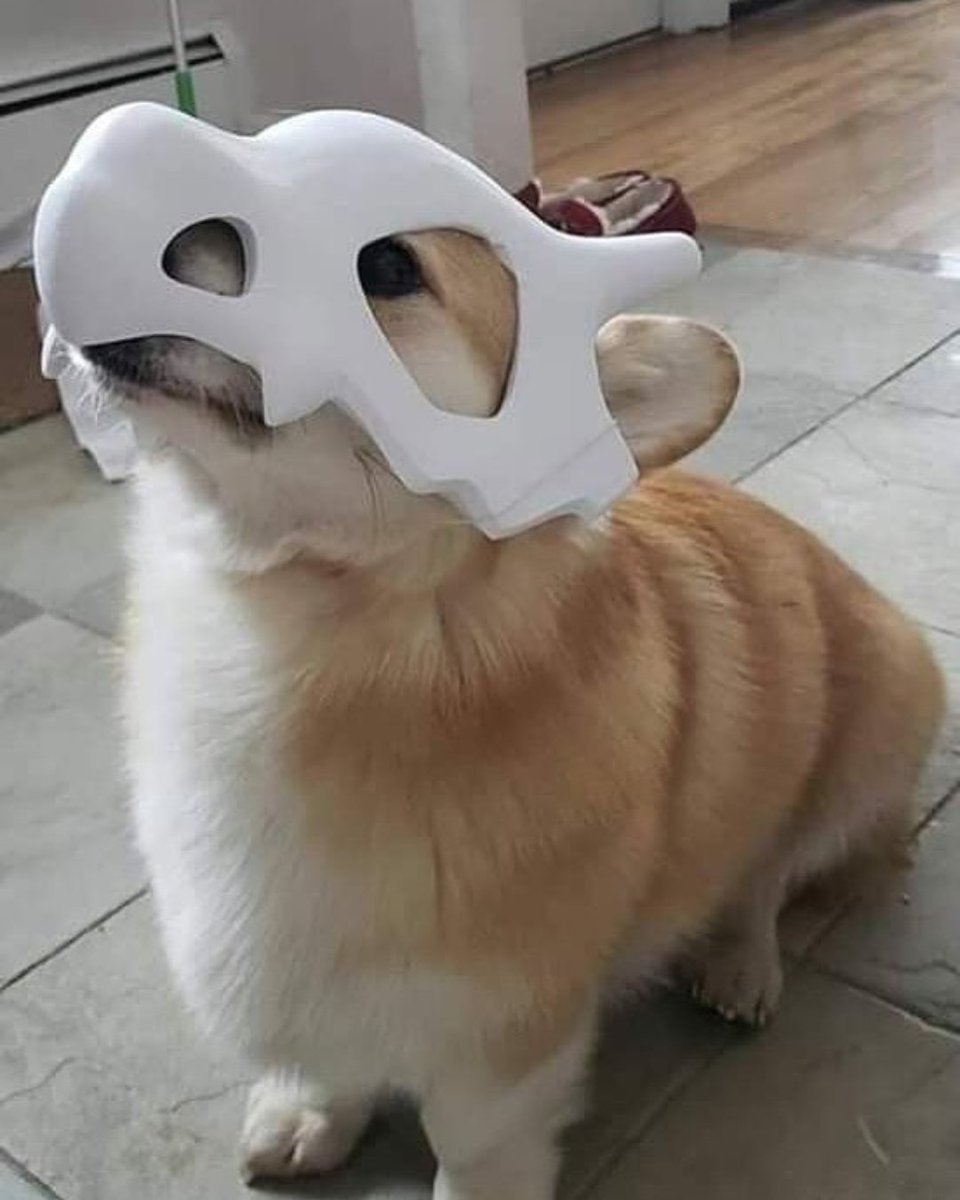 Fanatics Collect tweet media