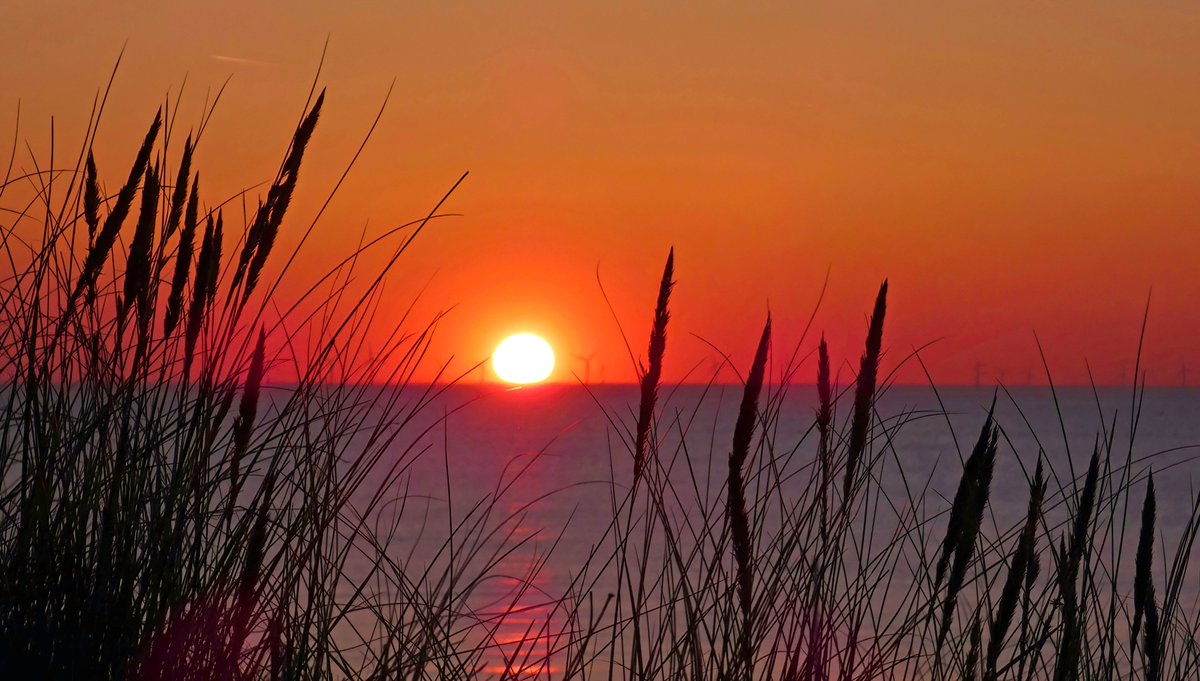 ➡️ Robert de Vries tweet media