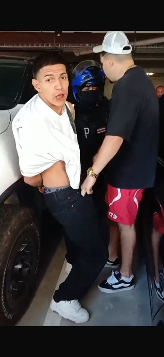 Bicho Morado 🦟🟣 tweet media