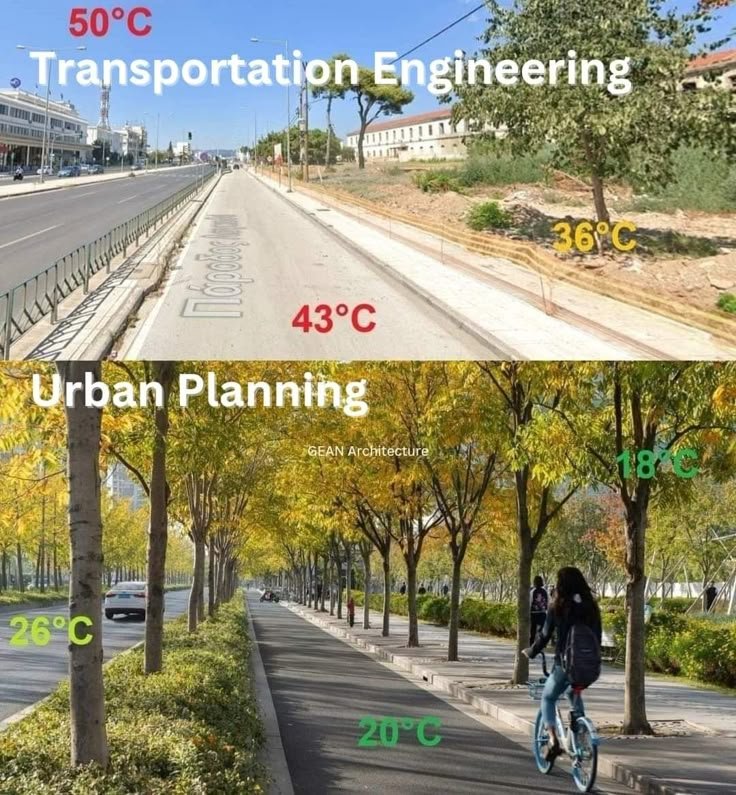 Mountain Cabins tweet media