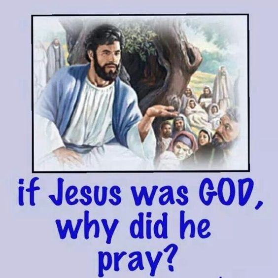 Francis York tweet media