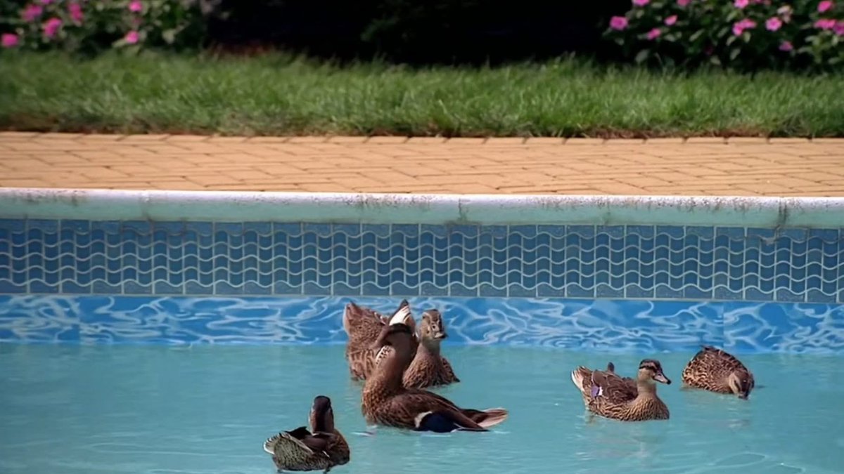 best of the sopranos tweet media