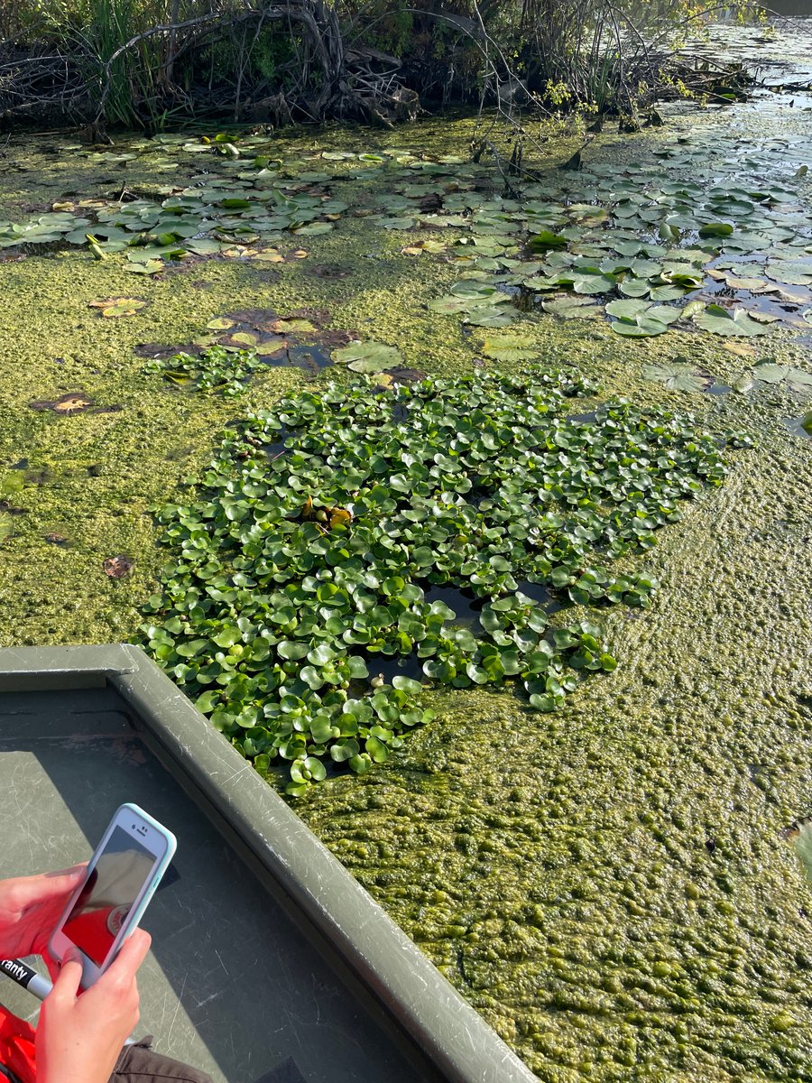 Michigan EGLE tweet media