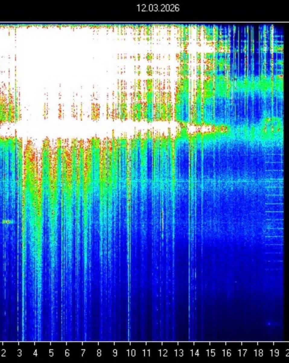 Paul White Gold Eagle tweet media