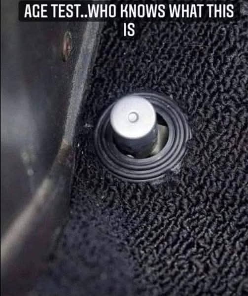 Elizabeth❣️ tweet media