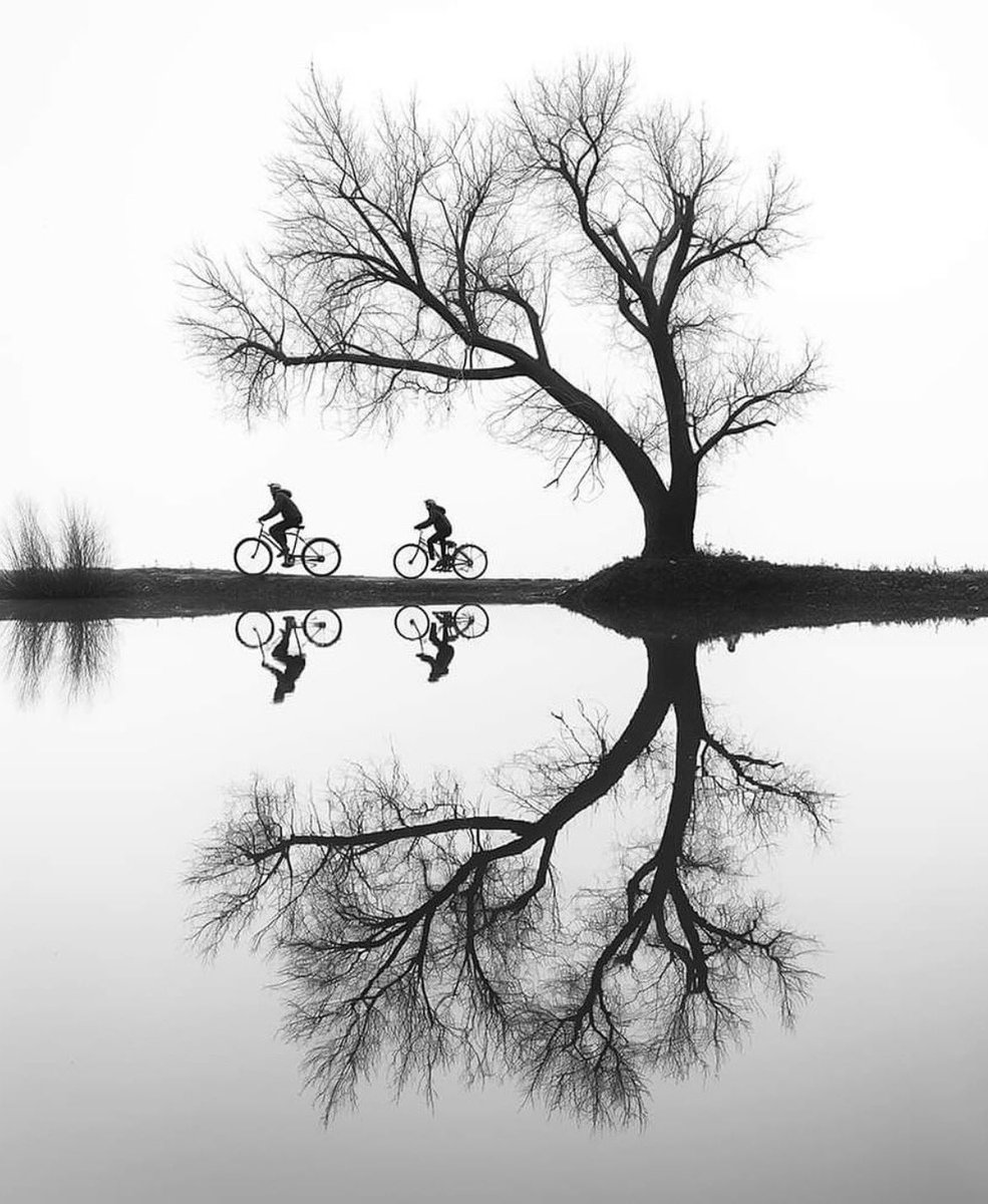 theglobalphotocommunity tweet media