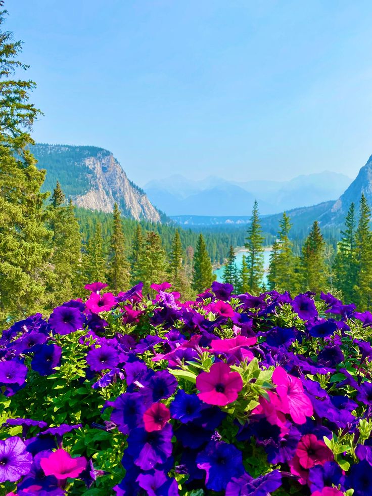 Kimo🦂剣ム tweet media