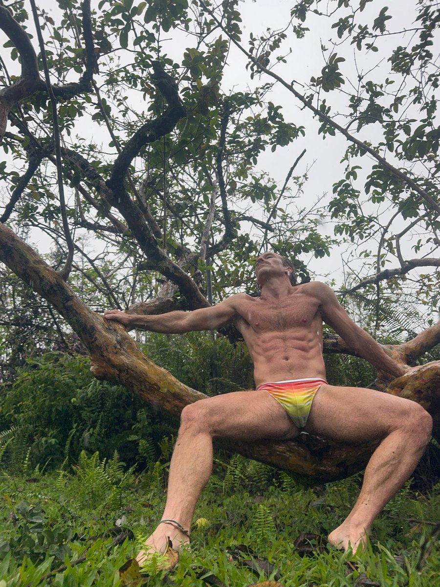 DW Chase Model tweet media